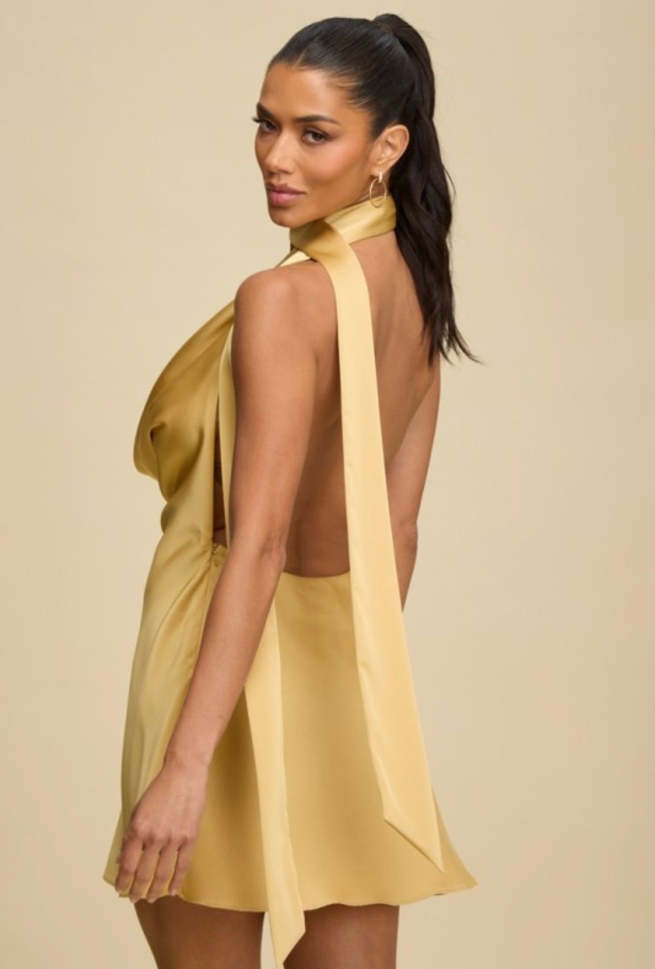 Amber Mini Dress