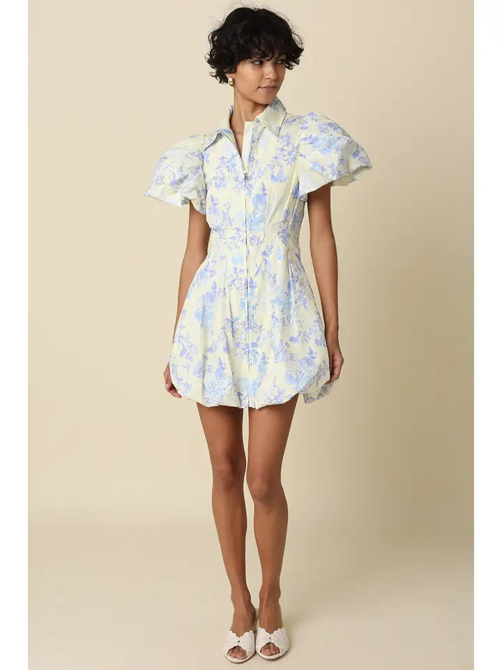 Elaine Puff Sleeve Dress