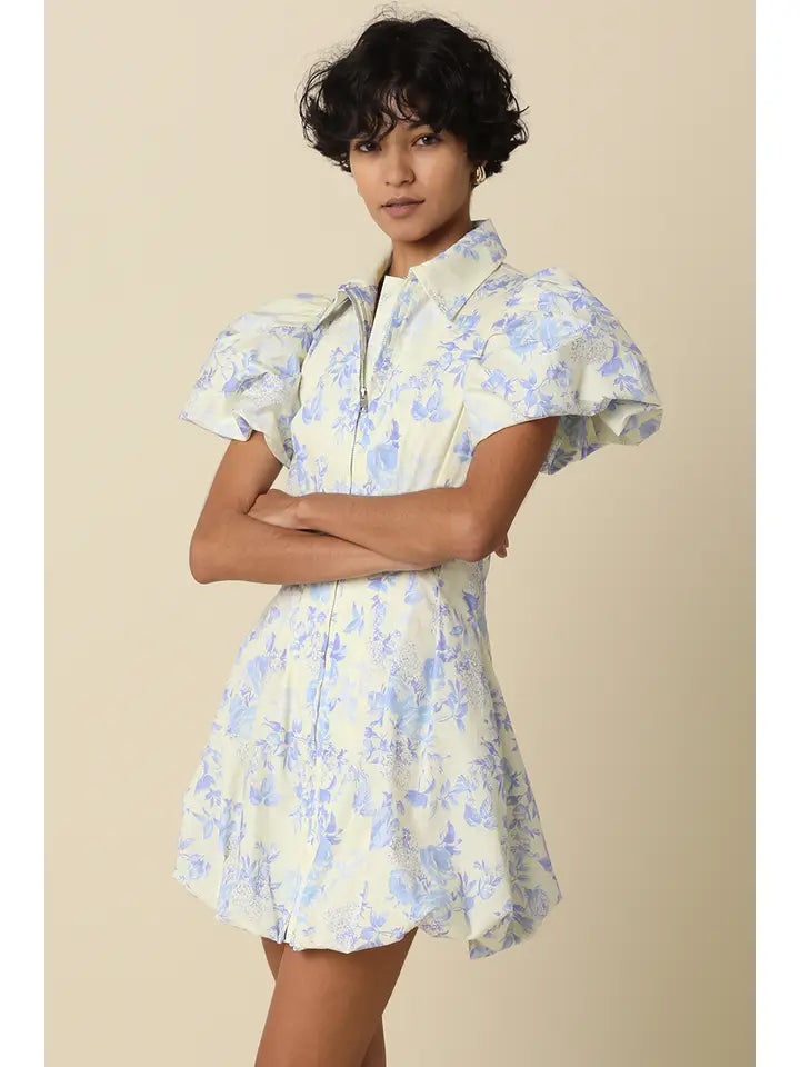 Elaine Puff Sleeve Dress