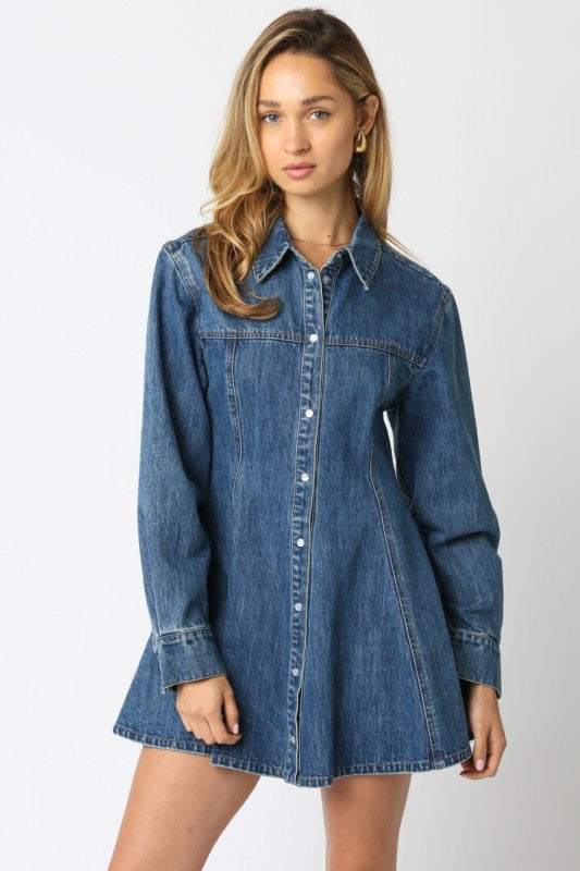 Angelina Denim Dress