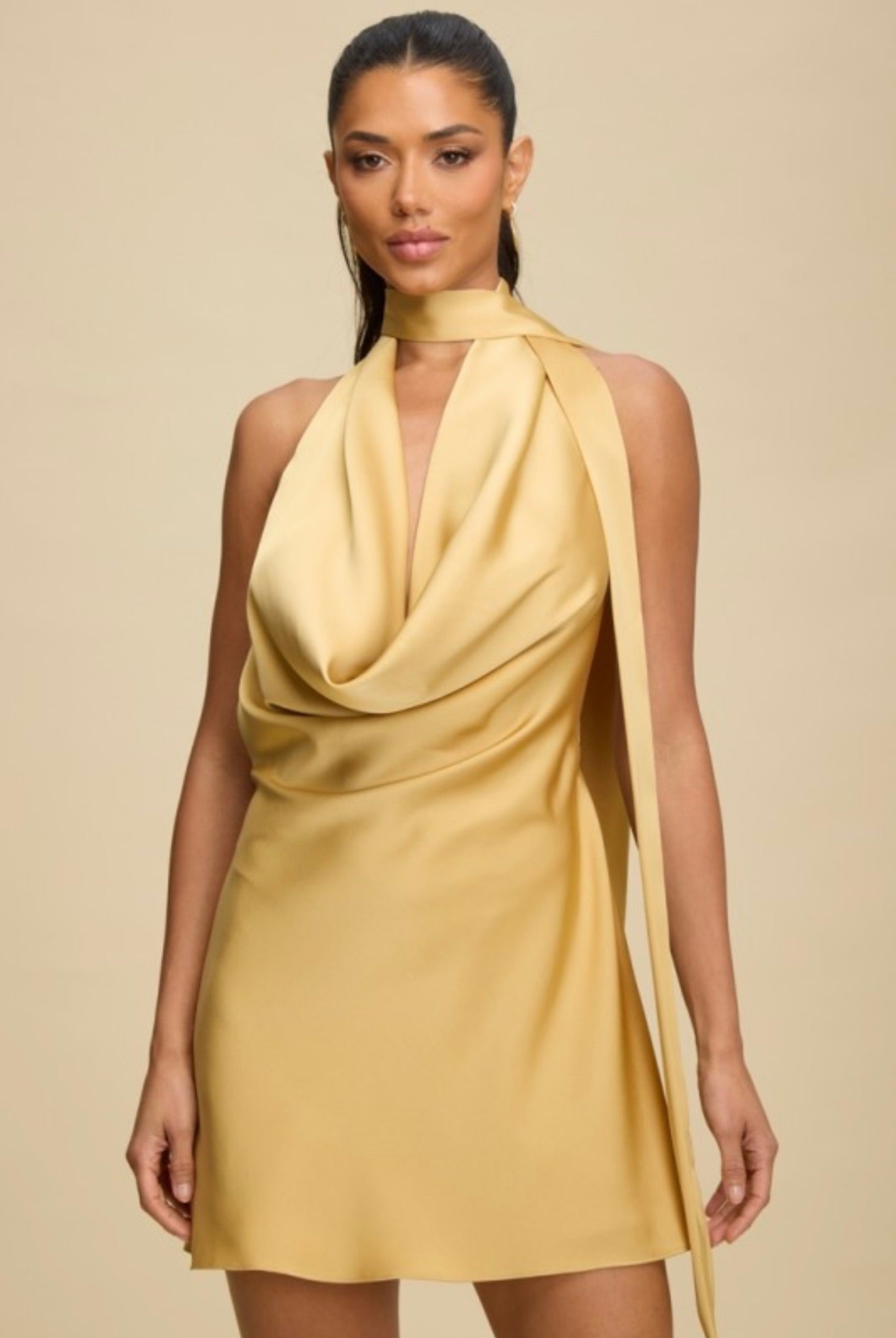 Amber Mini Dress