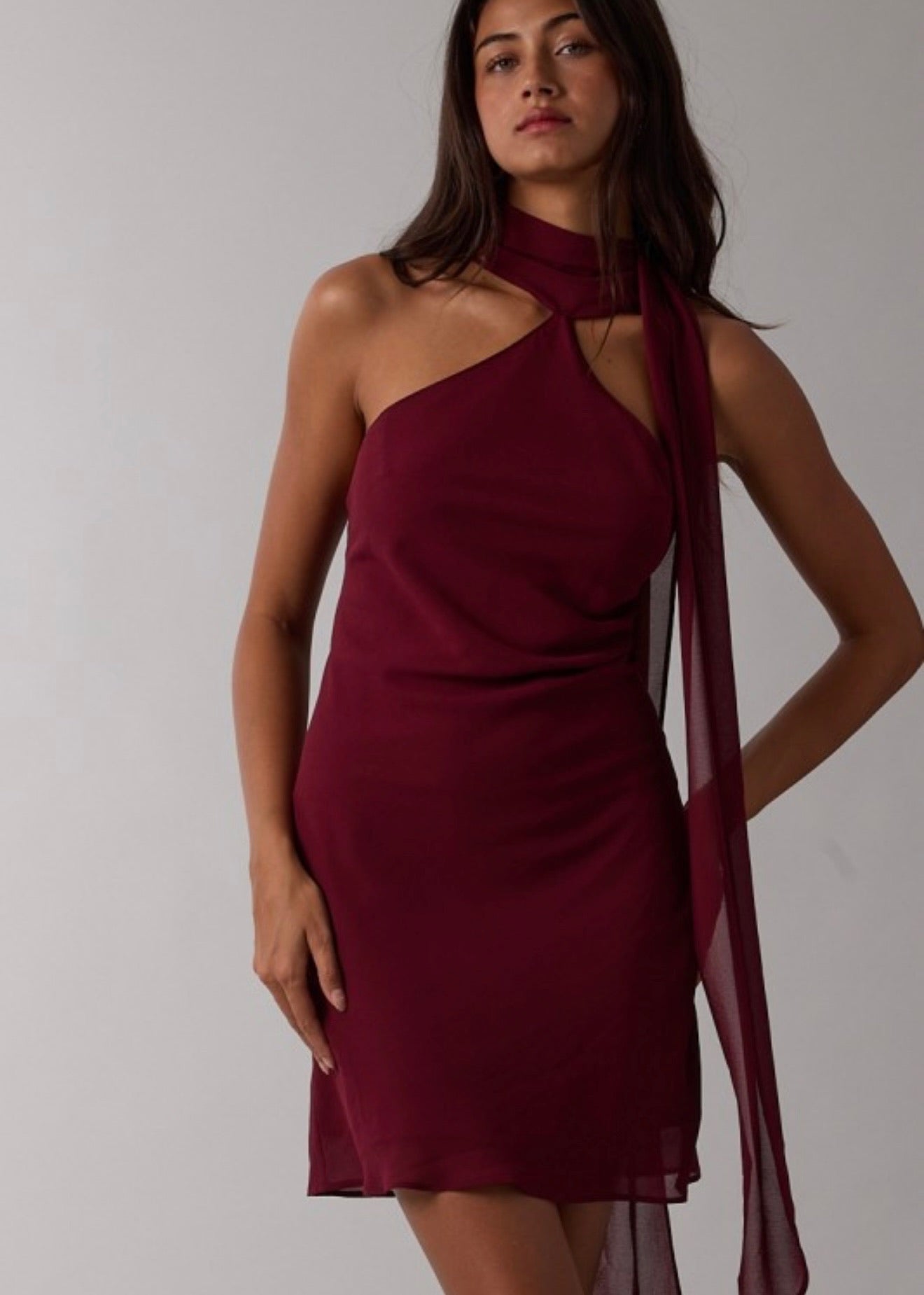 Merlot Mini Dress