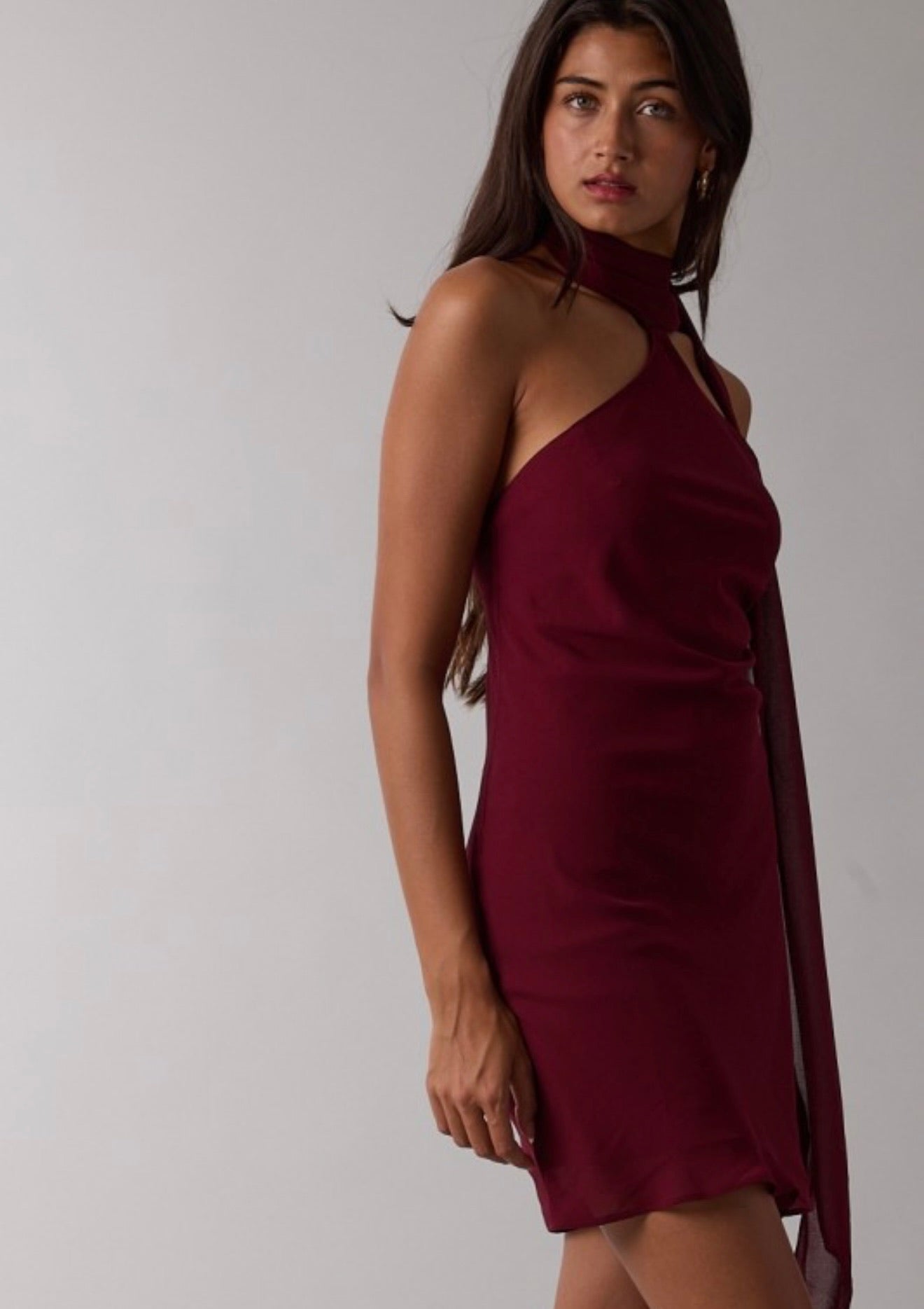 Merlot Mini Dress