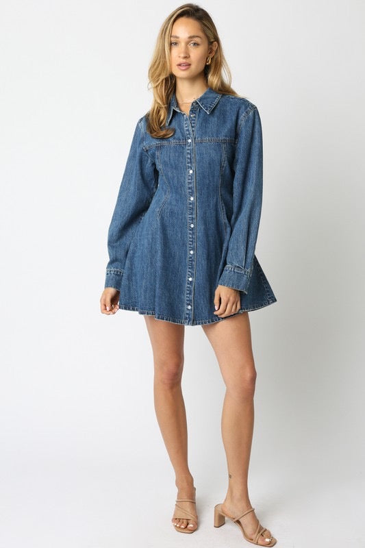 Angelina Denim Dress