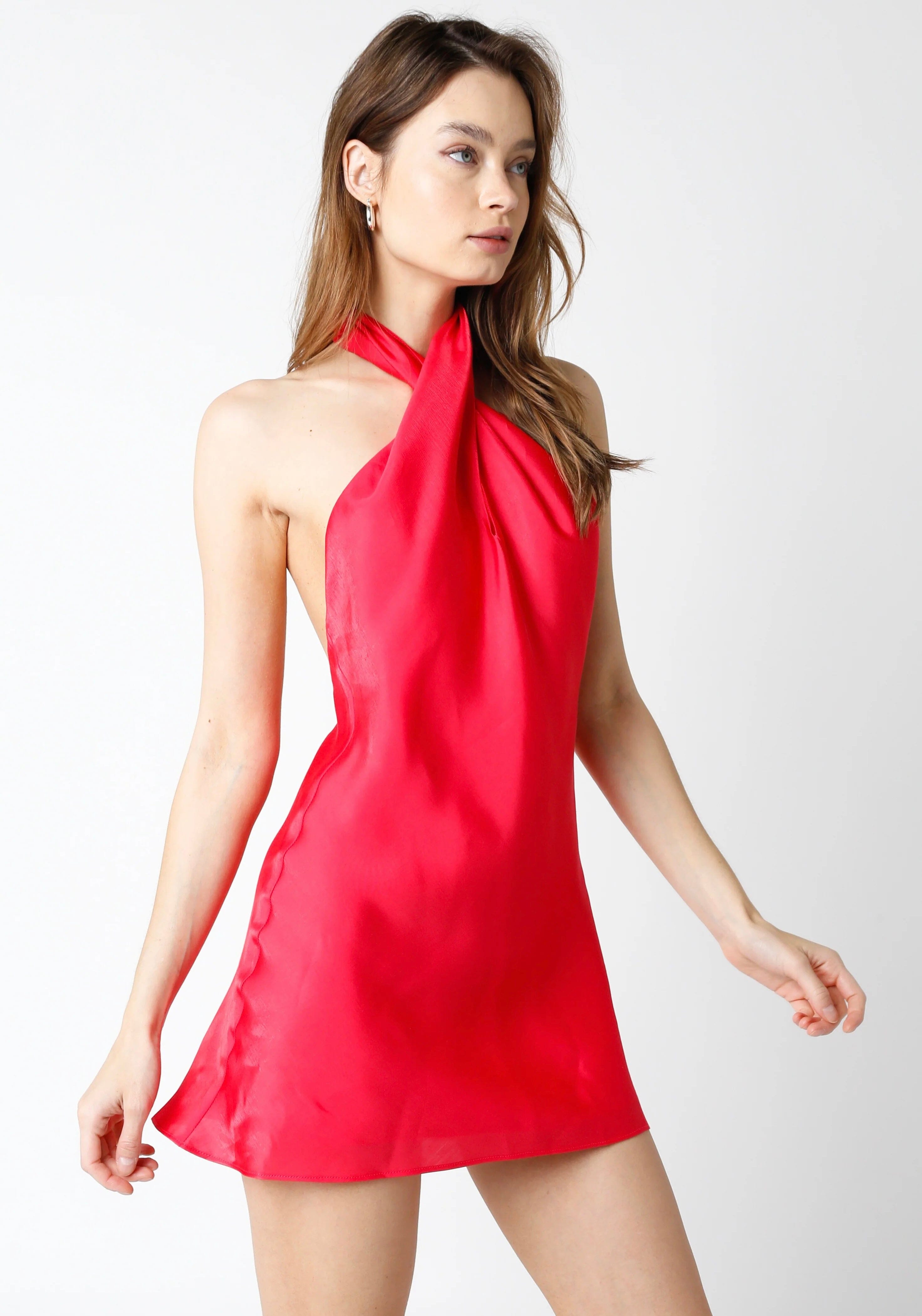 Shimmer All The Way Dress Dresses