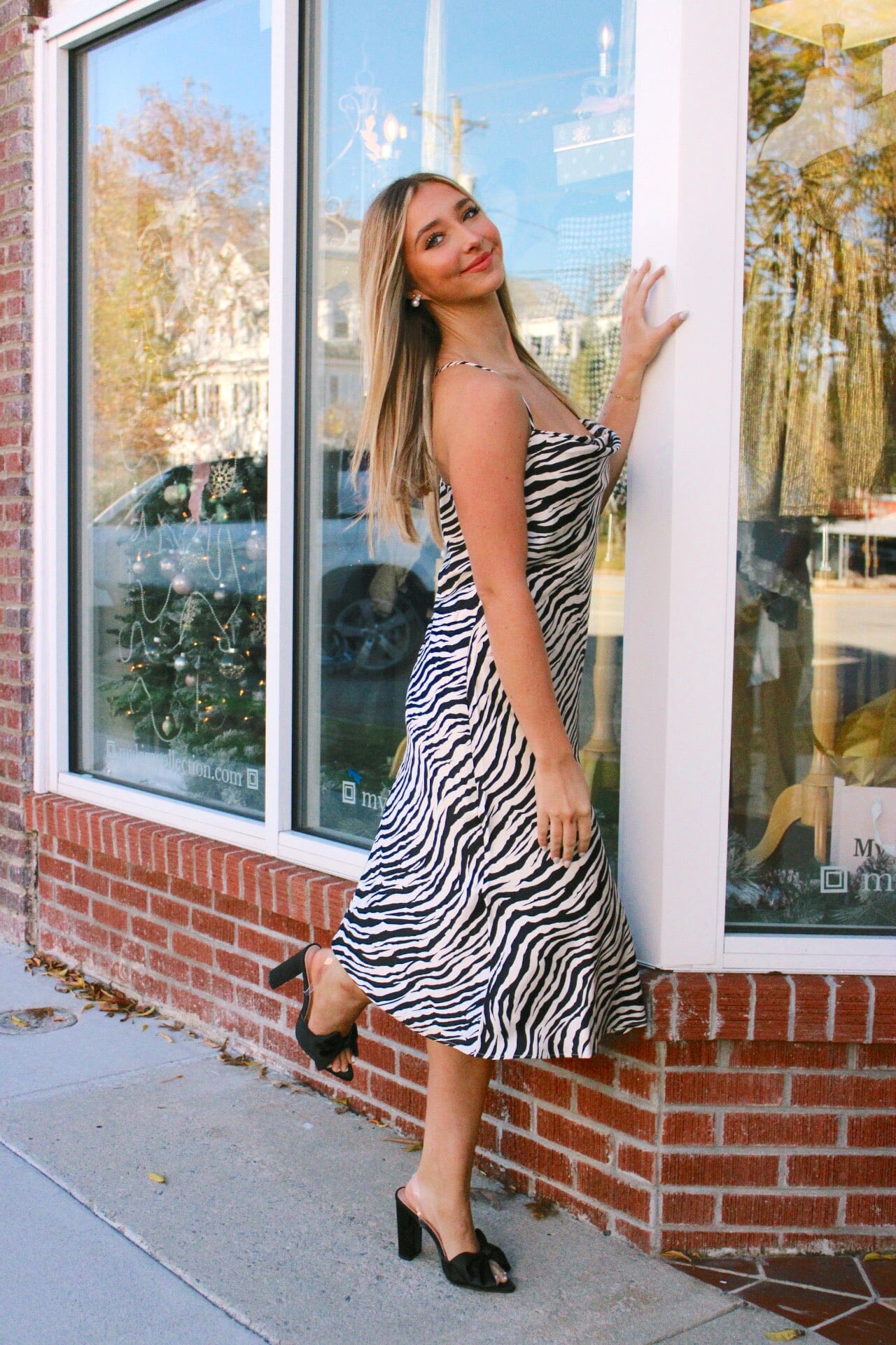 Wild Ones Midi Dress Dresses