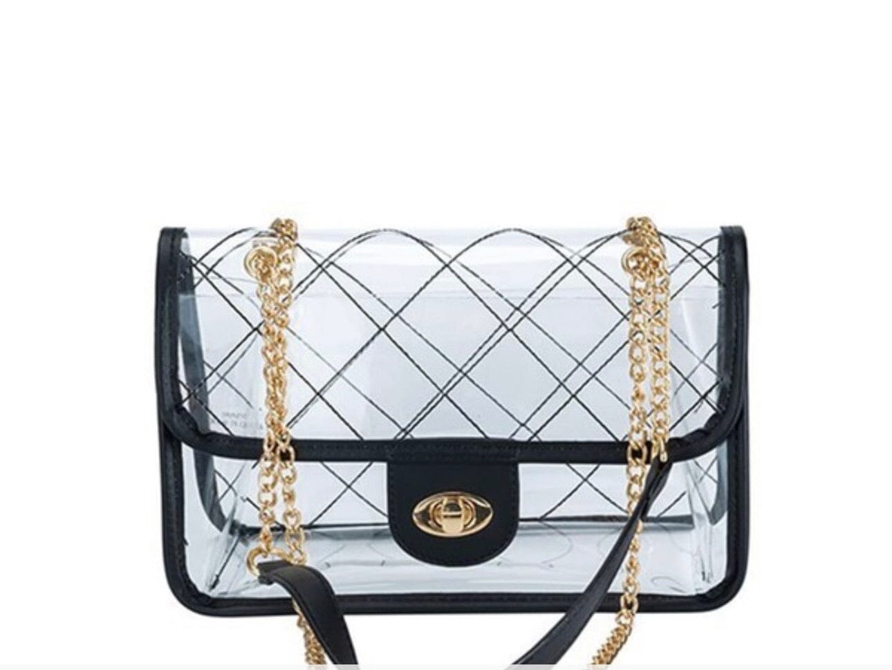 Black Webbed Clear Bag Accessories