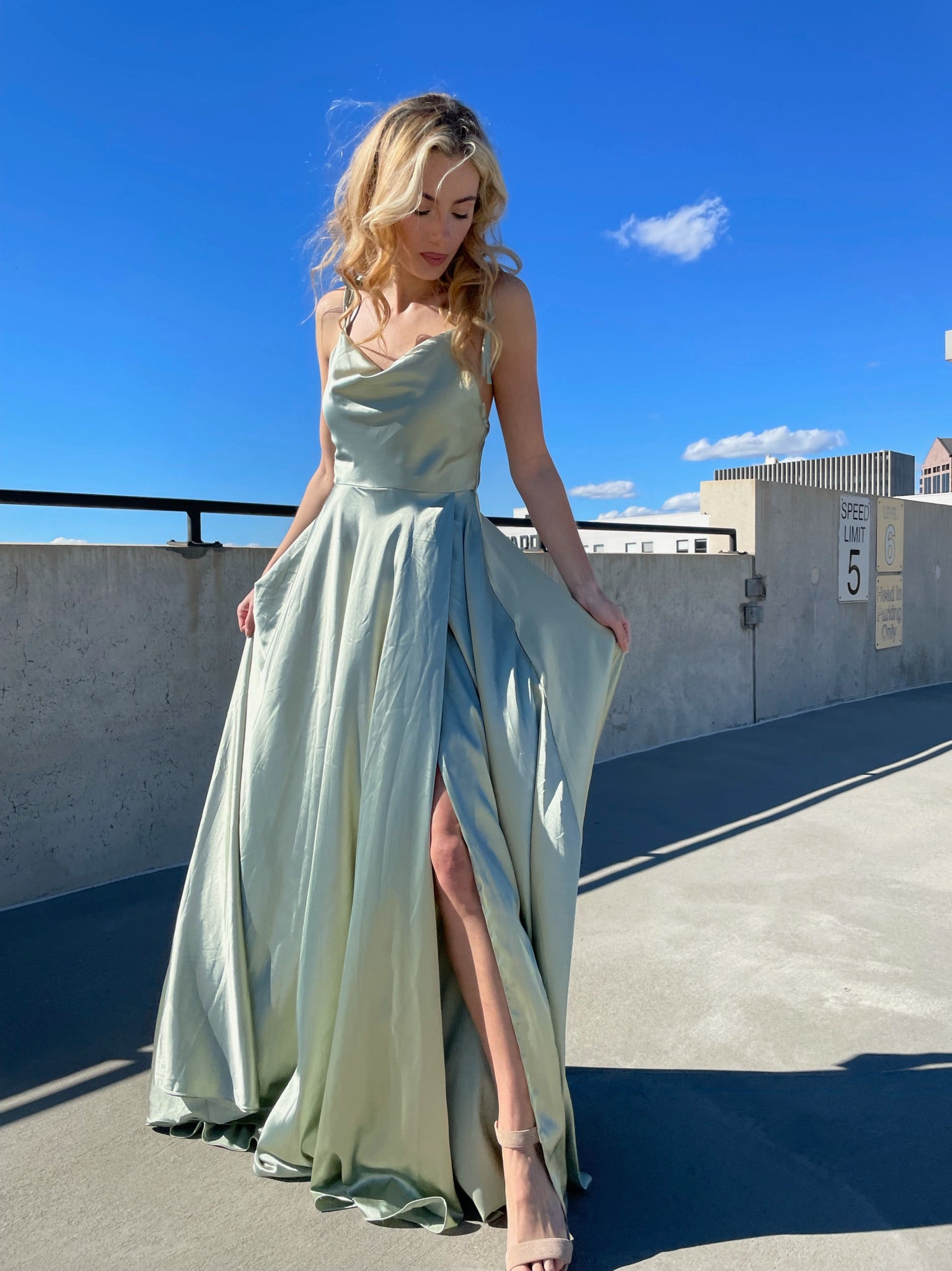 Garden Party Gown Dresses
