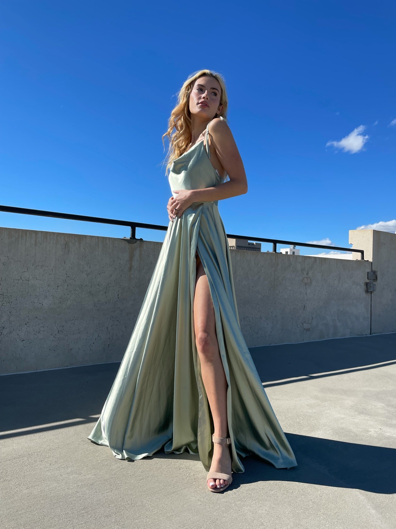 Garden Party Gown Dresses