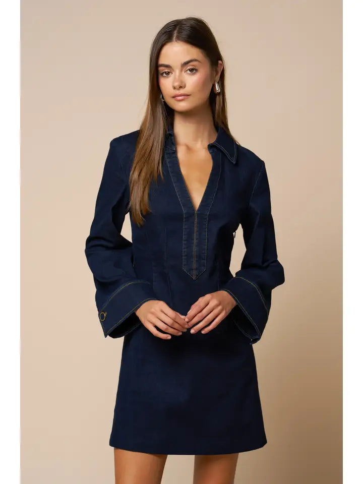 Brianna Denim Mini Dress