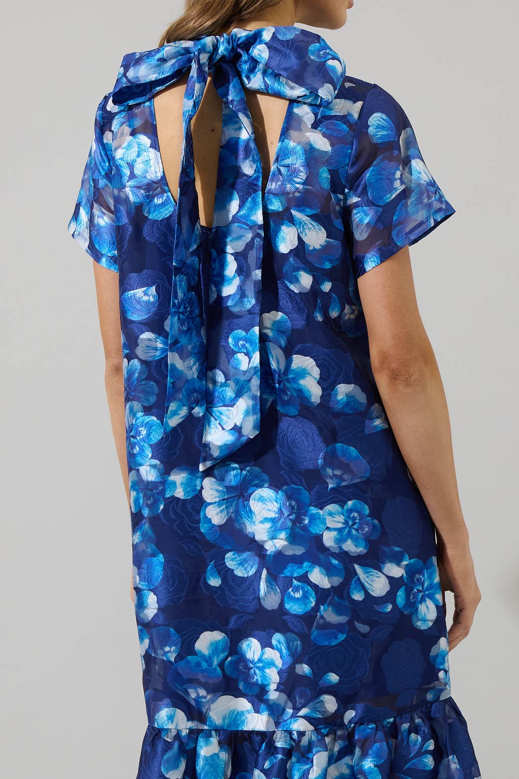 Abby Organza Maxi Dress