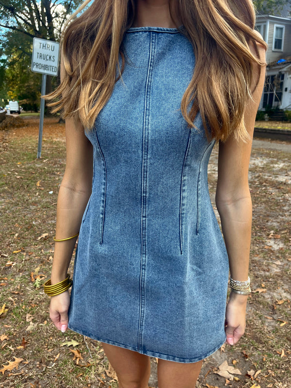 Kenzie Denim Mini Dress