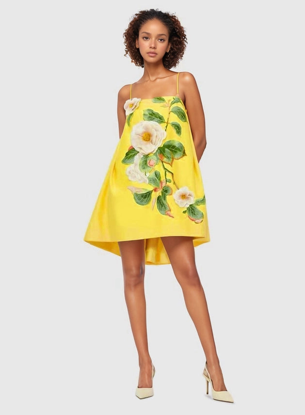 Sophie Floral Swing Dress