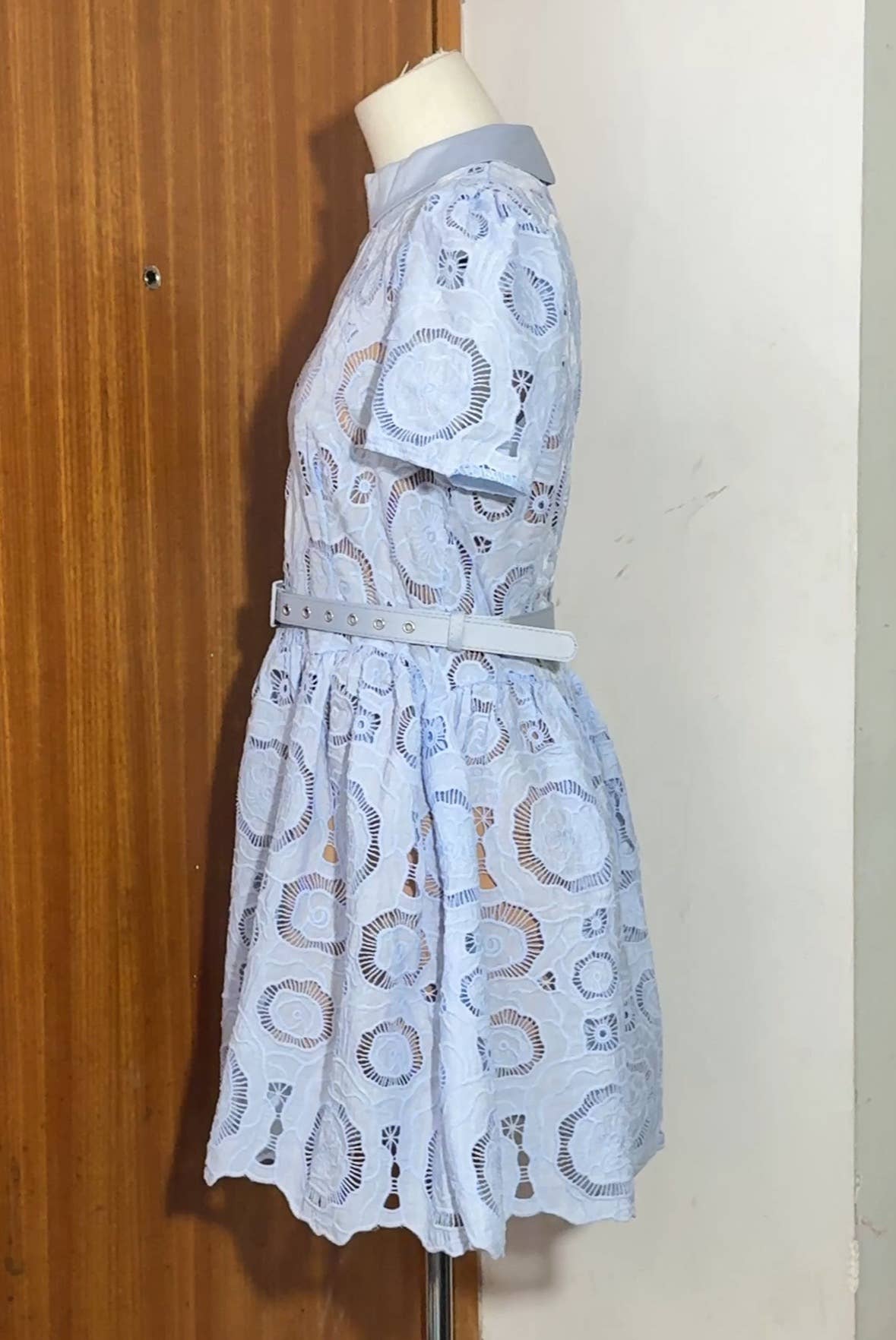 Skye Lace Mini Dress
