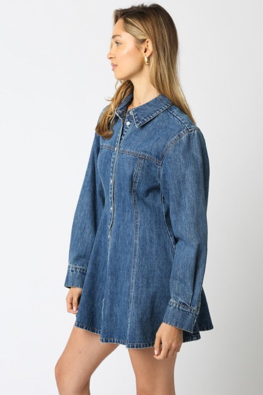 Angelina Denim Dress