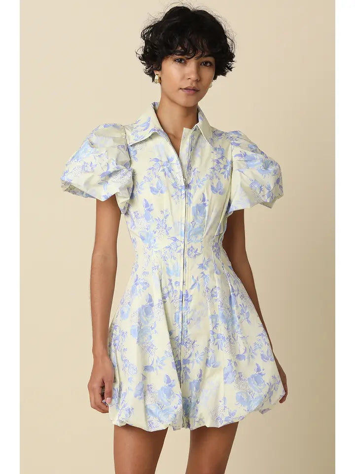 Elaine Puff Sleeve Dress