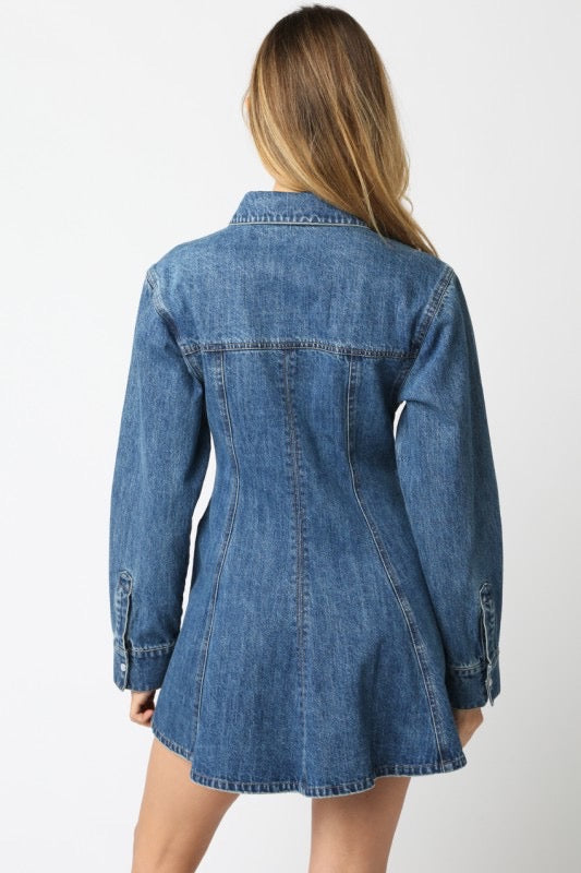 Angelina Denim Dress