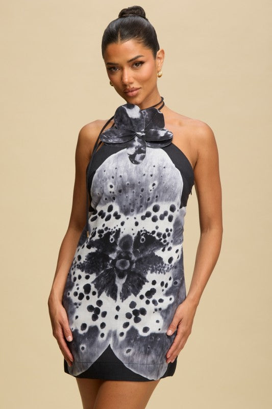 Charlie Accent Dress