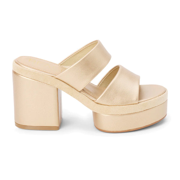 Graham Heel