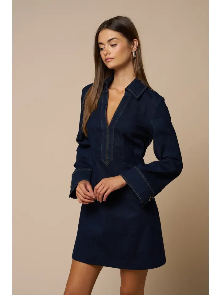 Brianna Denim Mini Dress