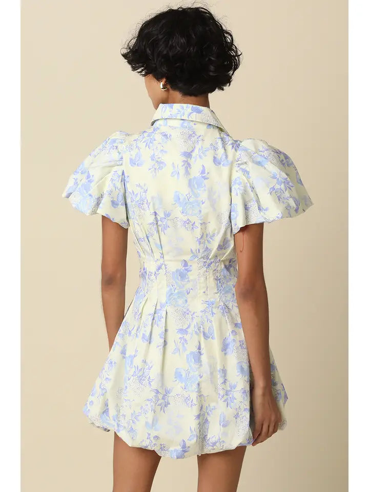 Elaine Puff Sleeve Dress