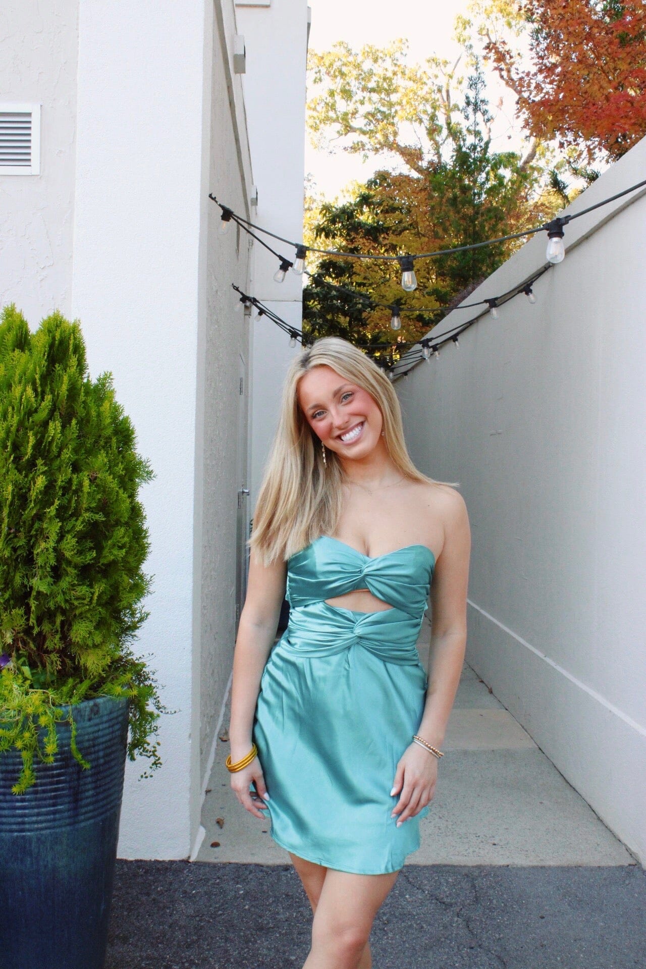 Perfect Princess Mini Dress Dresses 