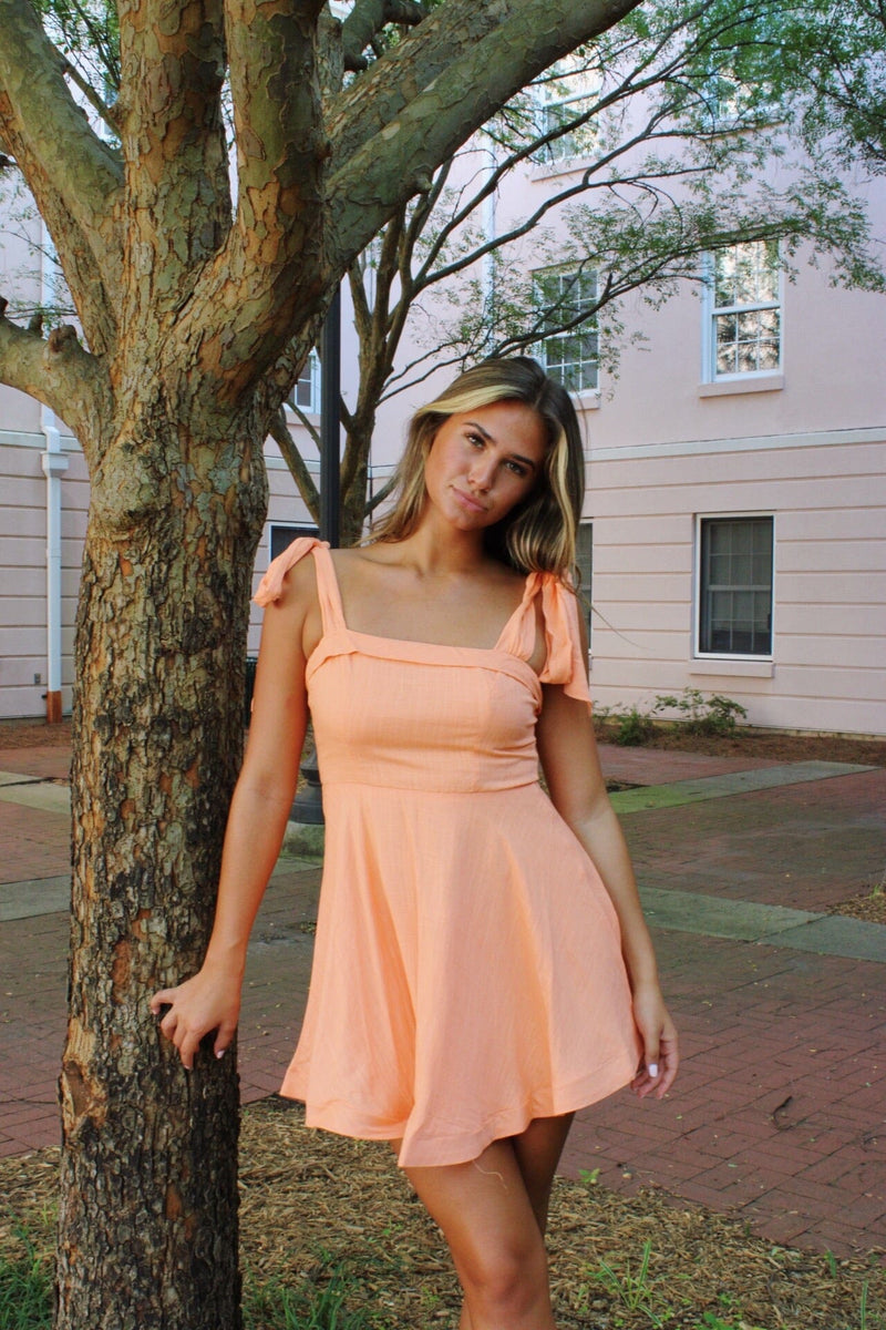 Clementine Dress Dresses 