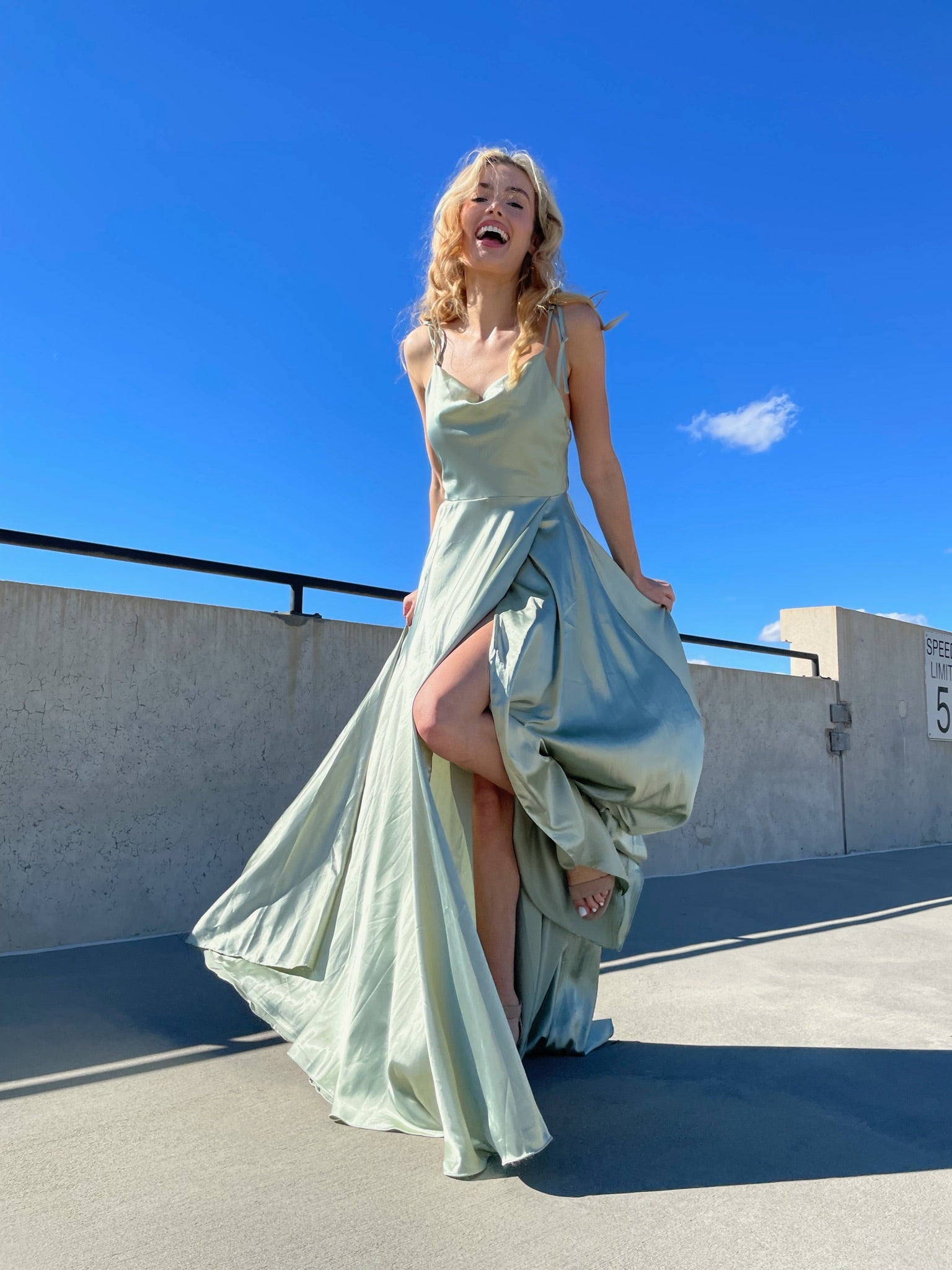 Garden Party Gown Dresses 