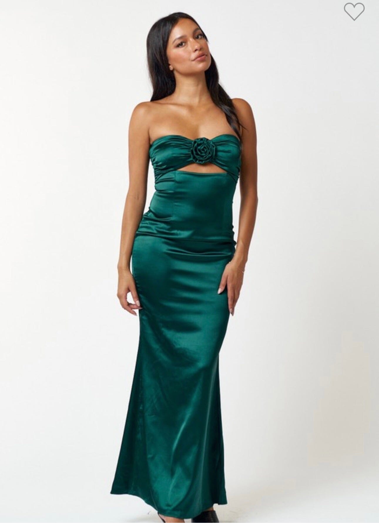 Live In Roses Dress Dresses 