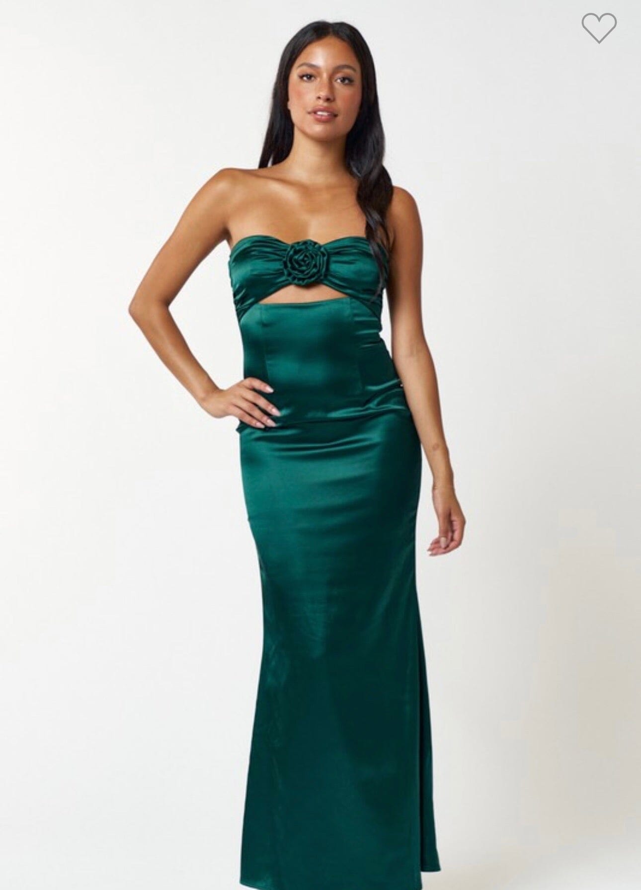 Live In Roses Dress Dresses 